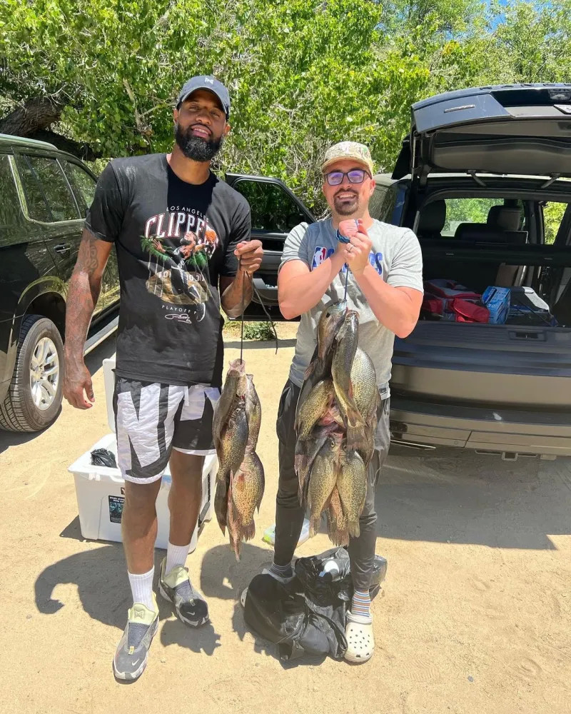 的反击成功 的反击成功