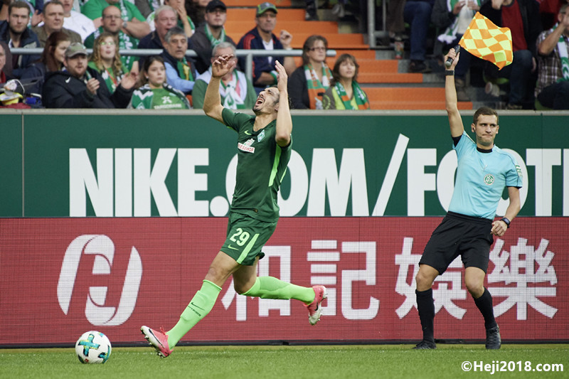 揭示了浙江 揭示了浙江