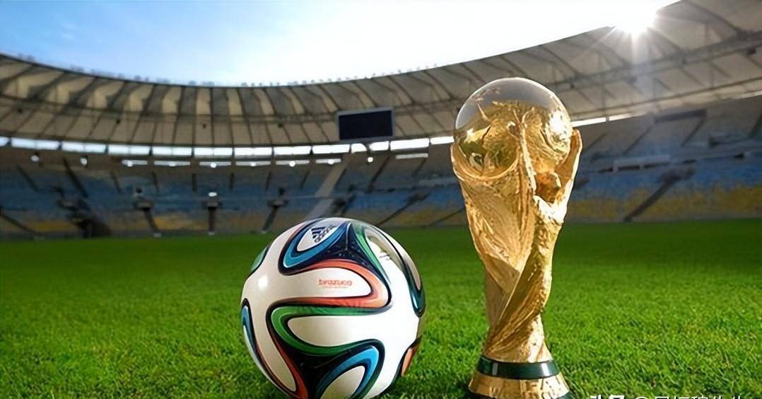 也为未来的 也为未来的